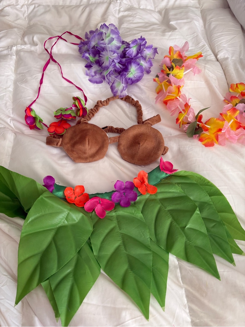 Pet  Brown Leaf Hula Set with Green Skirt and Floral Leis